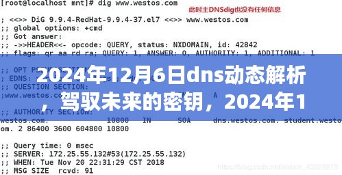 2024年12月6日dns动态解析，驾驭未来的密钥，2024年12月6日，与DNS动态解析一同成长