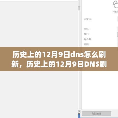 历史上的12月9日DNS刷新机制及其演变与刷新操作指南
