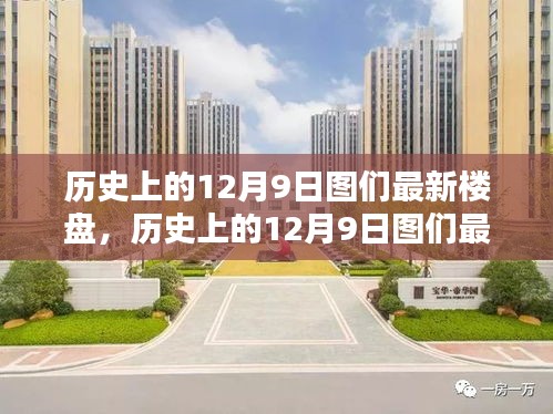 历史上的12月9日图们最新楼盘详解，购房指南与签约步骤