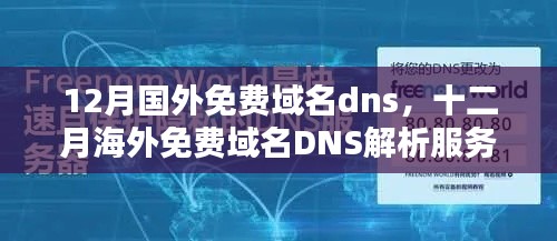 十二月海外免费域名DNS解析服务概览与推荐