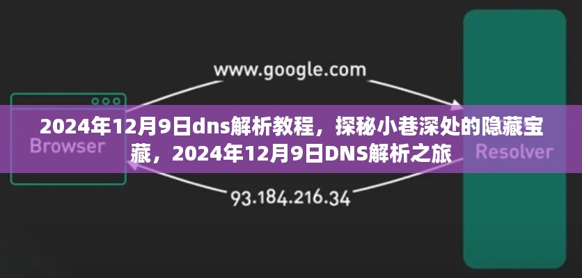 2024年12月10日 第28页