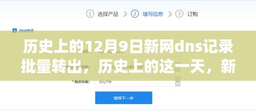 历史上的12月9日新网DNS记录批量转出，探索自然美景的启程日