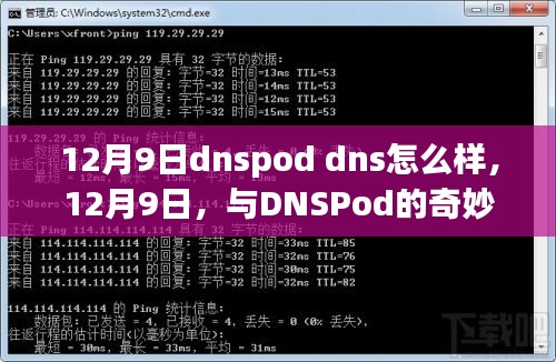 12月9日DNSPod DNS体验之旅，编织友情与技术的温馨故事