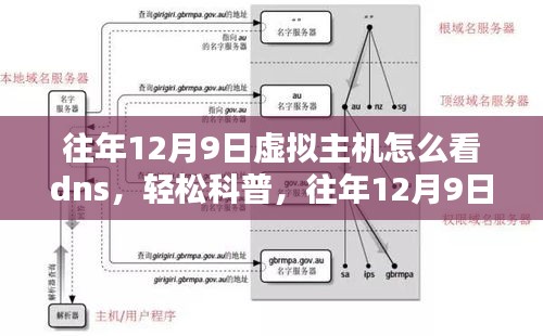 往年12月9日虚拟主机DNS设置查看指南，轻松科普如何查看DNS设置