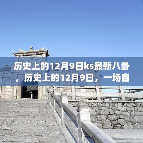 历史上的12月9日，探险自然美景，探寻内心的宁静与平和的最新八卦之旅