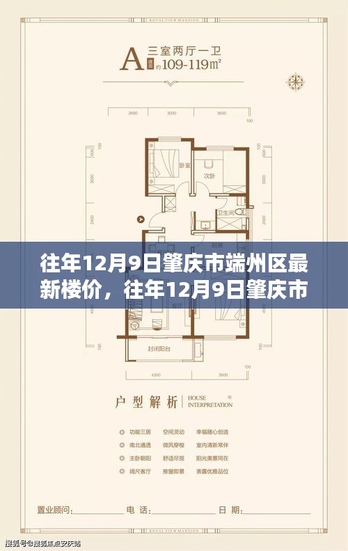 往年12月9日肇庆市端州区最新楼价详解，购房攻略与流程全解析