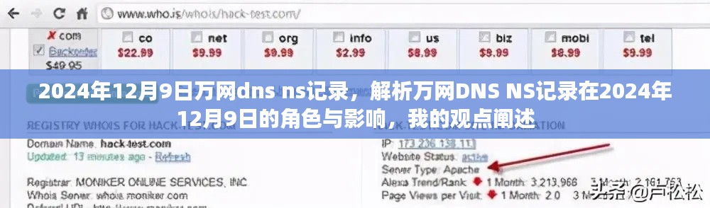 2024年12月9日万网DNS NS记录的角色与影响解析，我的观点阐述