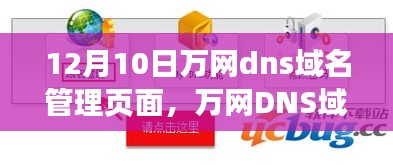 科技巨头重塑域名管理新纪元，万网DNS域名管理页面升级亮相