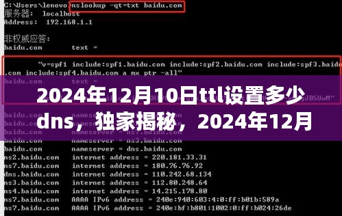 独家揭秘，2024年最佳TTL设置与DNS优化指南，助力网络性能飞跃提升！