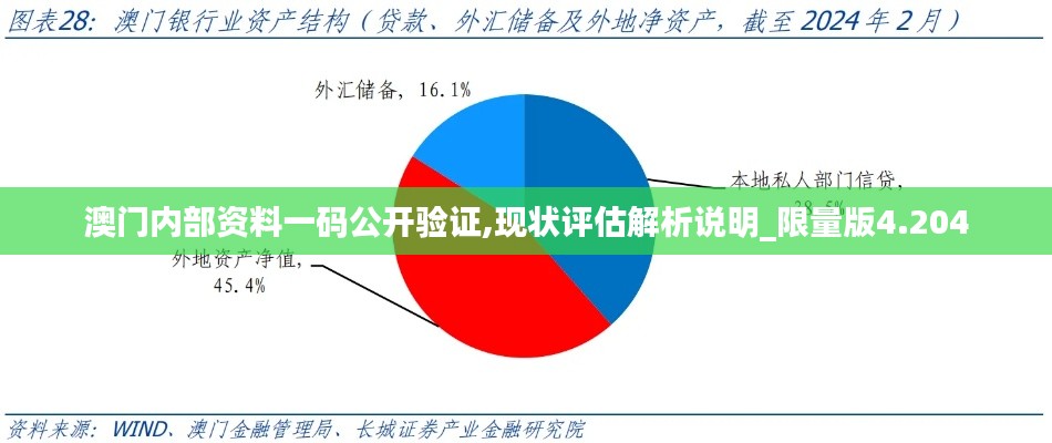 澳门内部资料一码公开验证,现状评估解析说明_限量版4.204