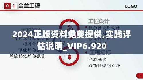 2024正版资料免费提供,实践评估说明_VIP6.920