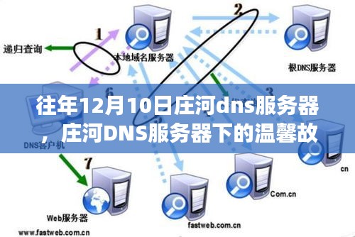 庄河DNS服务器下的网络奇缘与温馨故事