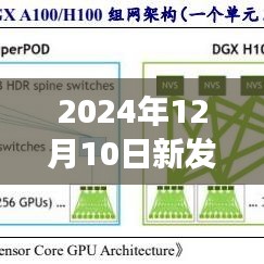 揭秘新发展理念下的未来之门，2024年12月10日的崭新启示与未来篇章