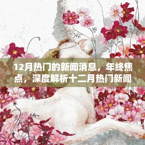 年终焦点深度解析，十二月热门新闻消息回顾与展望