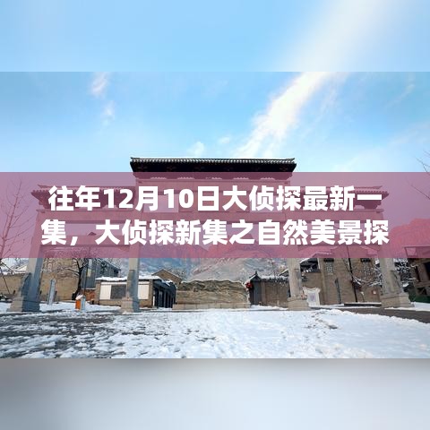 大侦探新集，自然美景探秘之旅，寻找内心的宁静与乐趣之旅