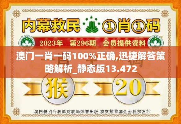 澳门一肖一码100%正确,迅捷解答策略解析_静态版13.472