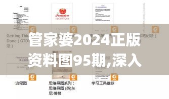 管家婆2024正版资料图95期,深入解析数据策略_X8.811