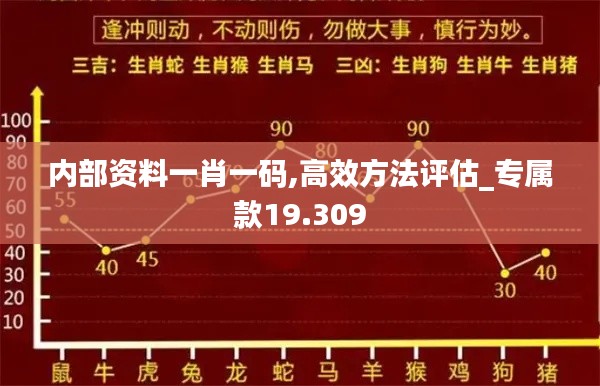 内部资料一肖一码,高效方法评估_专属款19.309