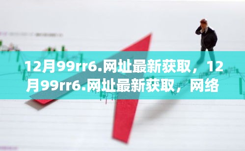 12月99rr6网址最新获取，网络资源价值与个人立场权衡的探讨