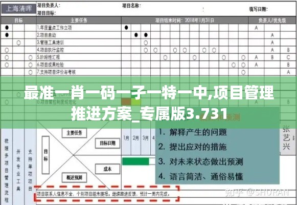 最准一肖一码一孑一特一中,项目管理推进方案_专属版3.731