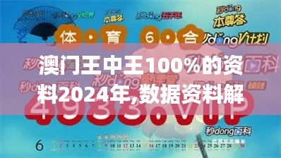 澳门王中王100%的资料2024年,数据资料解释定义_VIP6.696