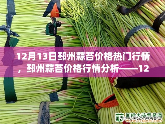 12月13日邳州蒜苔价格行情分析与市场观察