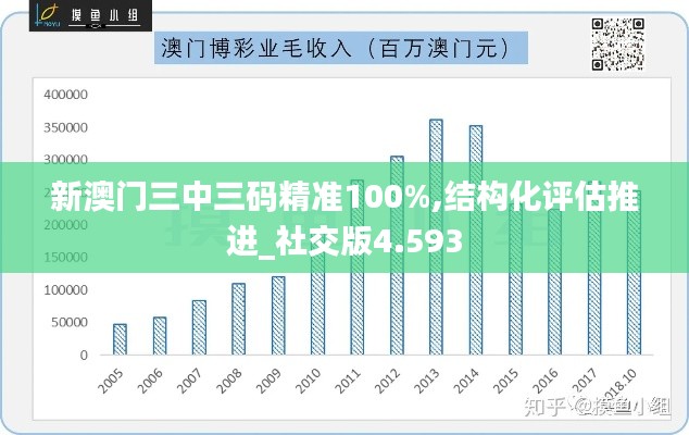 新澳门三中三码精准100%,结构化评估推进_社交版4.593