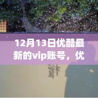 12月13日优酷VIP账号最新动态与深度解读