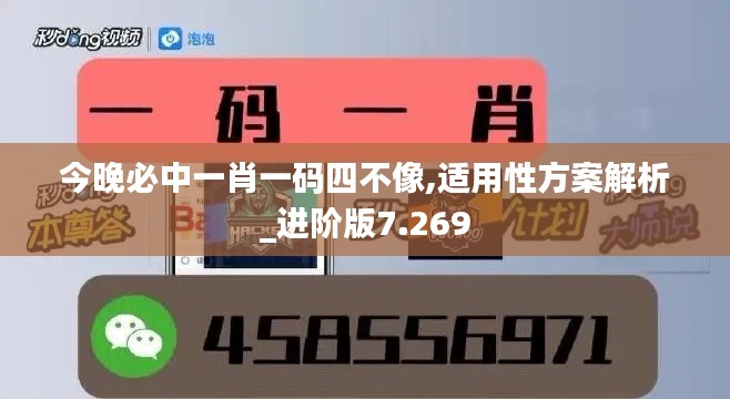 今晚必中一肖一码四不像,适用性方案解析_进阶版7.269