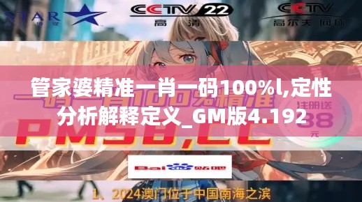 管家婆精准一肖一码100%l,定性分析解释定义_GM版4.192