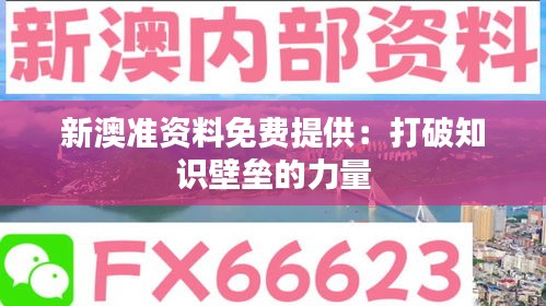 新澳准资料免费提供：打破知识壁垒的力量