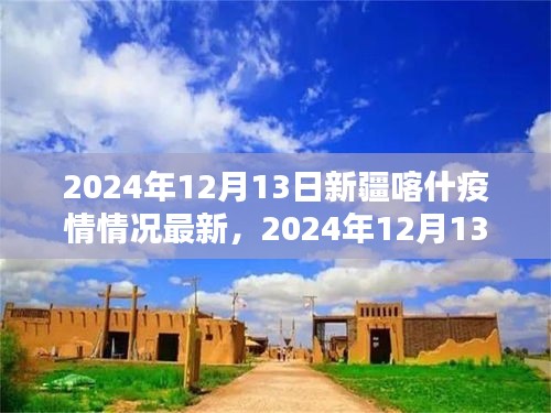 2024年12月13日新疆喀什疫情最新情况概述