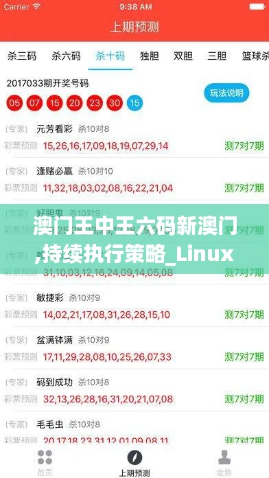 澳门王中王六码新澳门,持续执行策略_Linux2.665