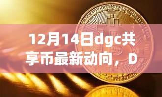 12月14日DGC共享币最新动向，奇妙之旅的温馨故事