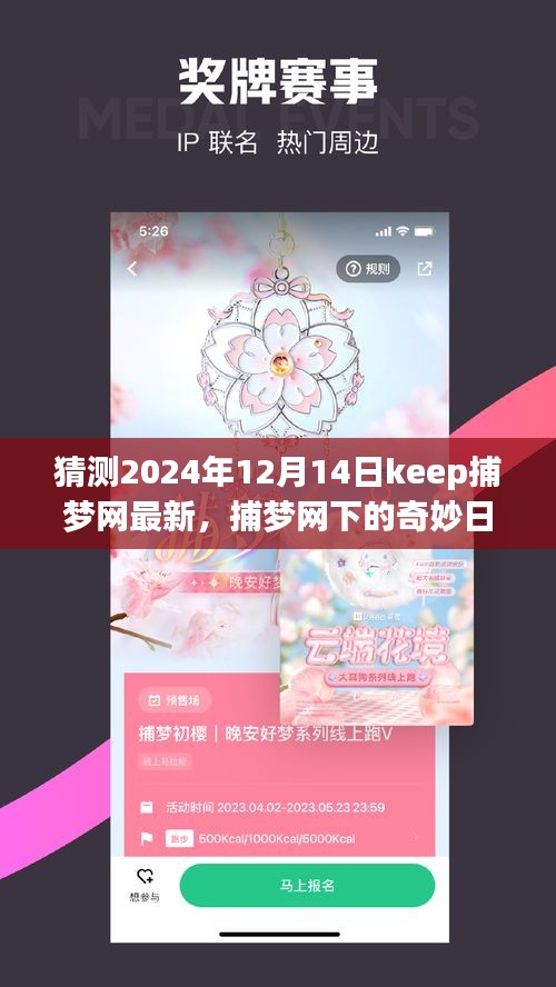 2024年12月14日Keep捕梦网下的奇妙日常与温馨故事