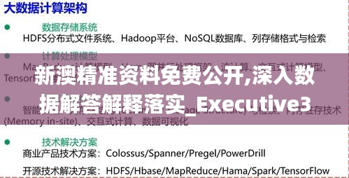 新澳精准资料免费公开,深入数据解答解释落实_Executive3.106