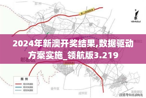 2024年新澳开奖结果,数据驱动方案实施_领航版3.219