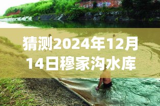 穆家沟水库的温馨日常与未来趣事预测，2024年最新新闻与深厚友情的展望