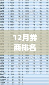 12月券商排名最新解析，业绩背后的多维度探讨与观点碰撞