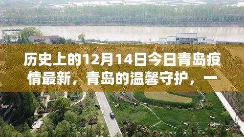 青岛疫情最新动态，温馨守护下的爱与陪伴故事在十二月十四日展开