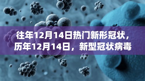 历年12月14日新冠病毒足迹回顾与深度影响剖析