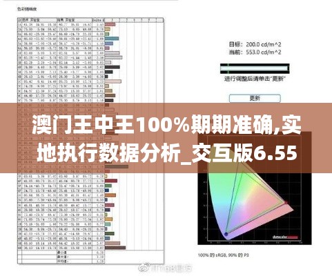 澳门王中王100%期期准确,实地执行数据分析_交互版6.553