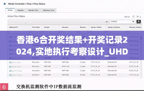 香港6合开奖结果+开奖记录2024,实地执行考察设计_UHD款2.493