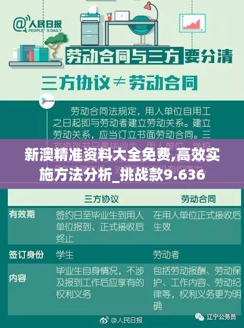 新澳精准资料大全免费,高效实施方法分析_挑战款9.636