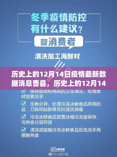 历史上的12月14日曹县疫情数据全面分析与深度评测