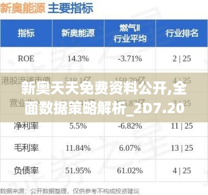 新奥天天免费资料公开,全面数据策略解析_2D7.206