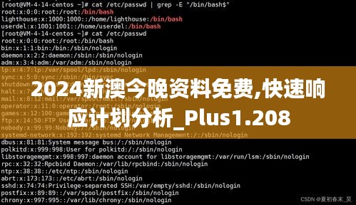 2024新澳今晚资料免费,快速响应计划分析_Plus1.208