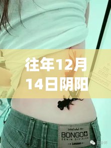 阴阳纹身师技艺深度解读，往年12月14日最新章节揭秘