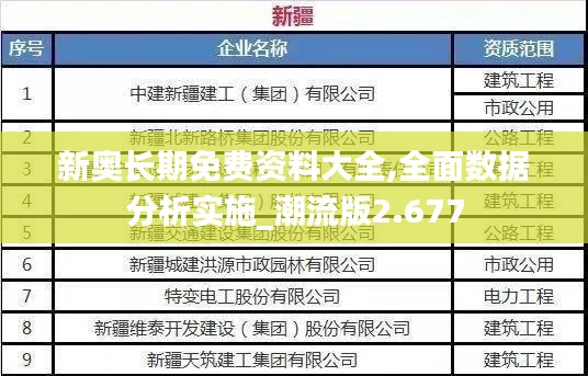 新奥长期免费资料大全,全面数据分析实施_潮流版2.677