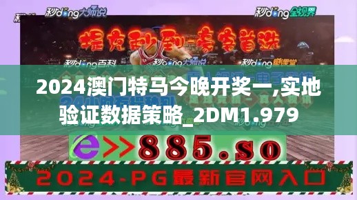 2024澳门特马今晚开奖一,实地验证数据策略_2DM1.979